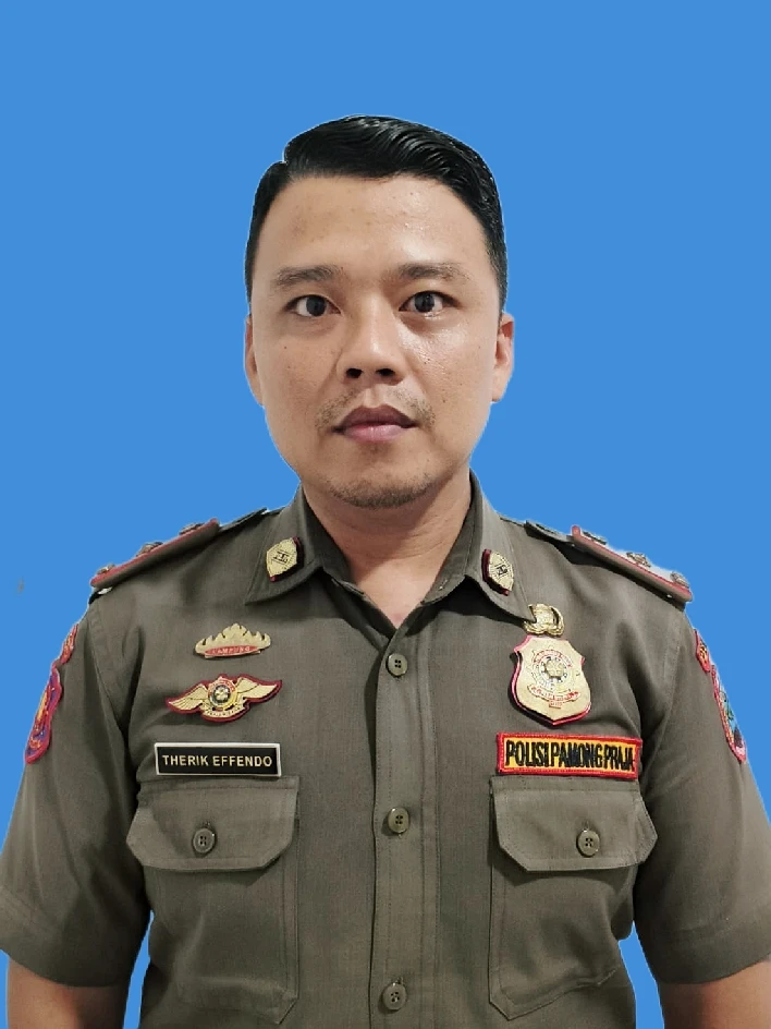 THERIK EFFENDO, S.H.